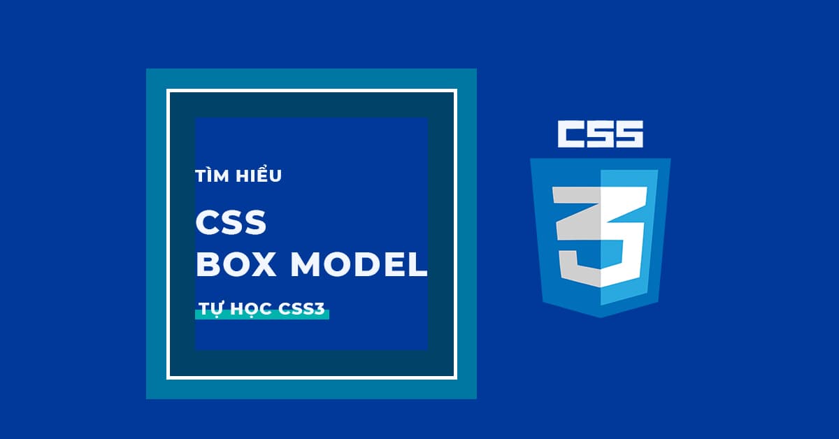 CSS Box Model